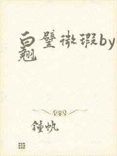 白璧微瑕by连翘