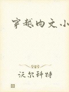 穿越肉文小说