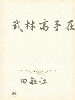 武林高手在异界