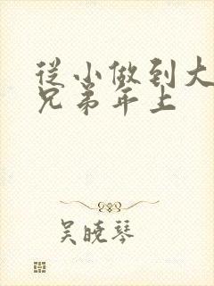 从小做到大骨科兄弟年上