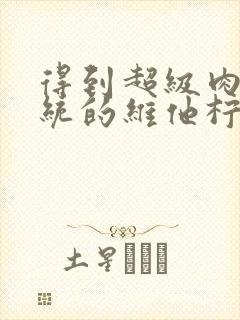 得到超级肉禽系统的维他柠檬茶