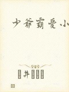 少爷霸爱小丫头