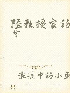 陆教授家的小月牙