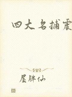 四大名捕震关东
