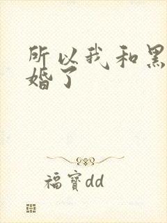 所以我和黑粉结婚了
