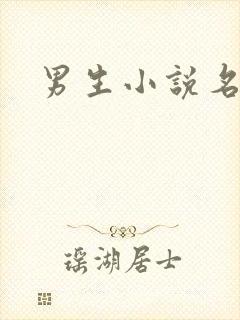男生小说名字