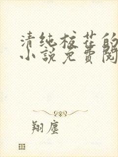 清纯校花的秘密小说免费阅读