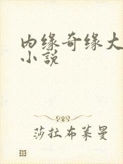 内缘奇缘大团圆小说