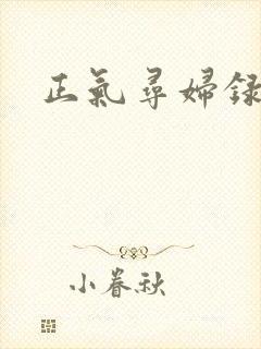 正气寻妇录