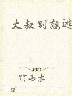 大叔别想逃