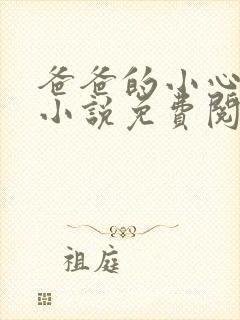 爸爸的小心肝儿小说免费阅读