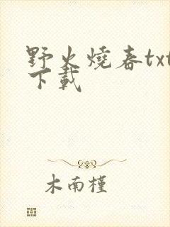 野火烧春txt下载