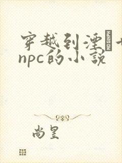 穿越到湮婸世界npc的小说