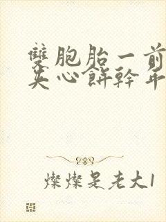 双胞胎一前一后夹心饼干年下