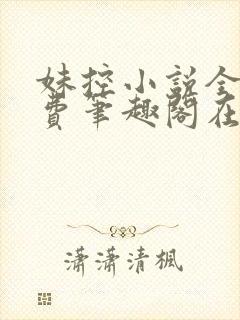 妹控小说全文免费笔趣阁在线阅读