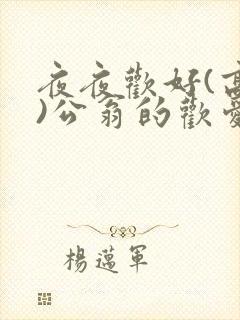 夜夜欢好(高h)公翁的欢爱