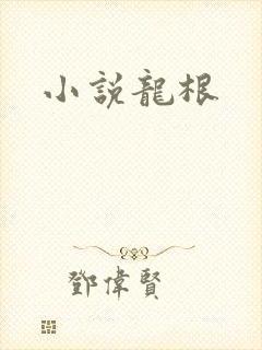 小说龙根