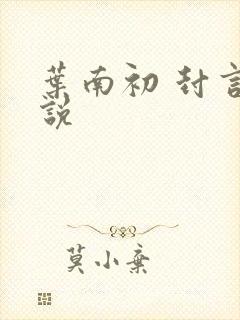 叶南初 封言小说