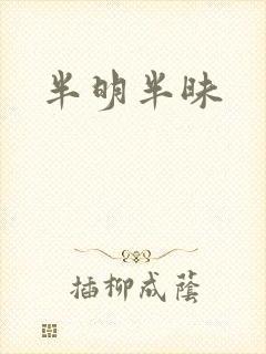 半明半昧
