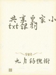 共享皇家小公主txt银羽
