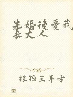 先婚后爱我的市长大人