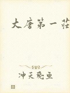 大唐第一庄