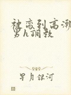 被脔到高潮的直男h调教