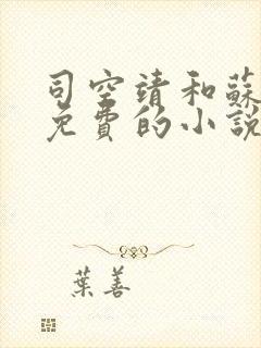 司空靖和苏月汐免费的小说笔趣阁