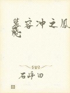 慕容冲之凤凰于飞