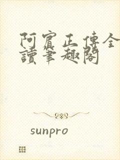 阿宾正传全文阅读笔趣阁