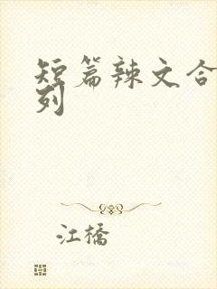 短篇辣文合集系列