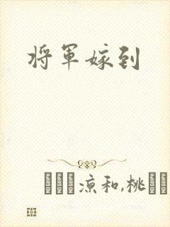 将军嫁到