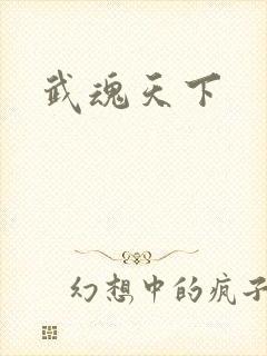 武魂天下