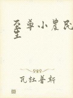 至尊小农民王木生