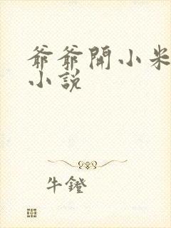 爷爷开小米的包小说