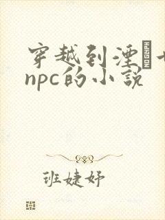 穿越到湮婸世界npc的小说