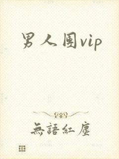 男人团vip
