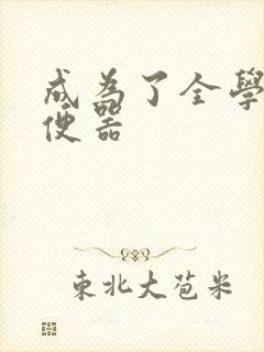 成为了全学校坐便器