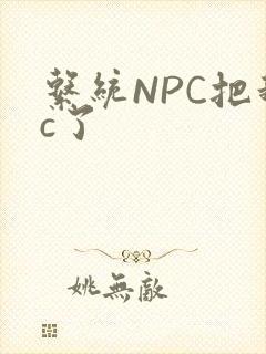 系统NPC把我c了