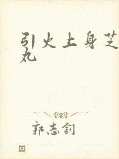 引火上身芝麻糖丸