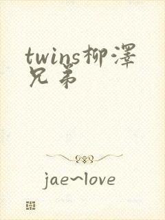 twins柳泽兄弟