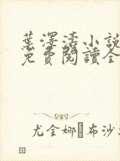 叶泽涛小说全文免费阅读全文