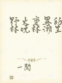 野火变异的父爱林晚林潮生