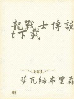 龙战士传说txt下载