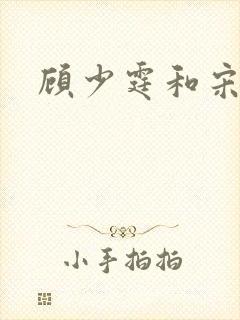 顾少霆和宋斯曼