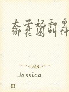 太子妃和皇帝在御花园叫什么小说