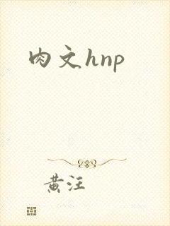 肉文hnp