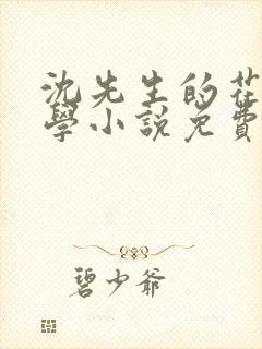 沈先生的花式教学小说免费