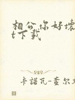 相公你好坏txt下载