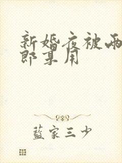 新婚夜被两个伴郎享用